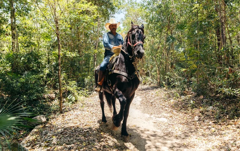 horse-tour-cancun-jungle-paradise-04