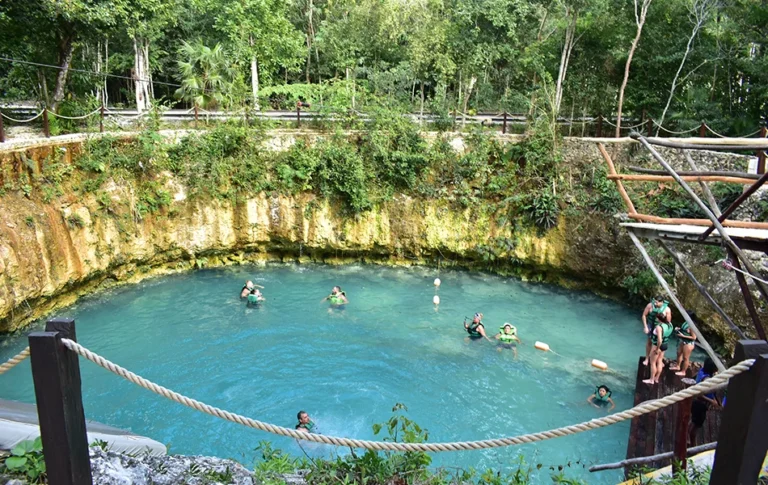 Cenote in Cancun by Jungle Paradise